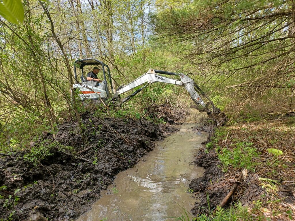 2024 Work Party Spring 2024 gallery image 1