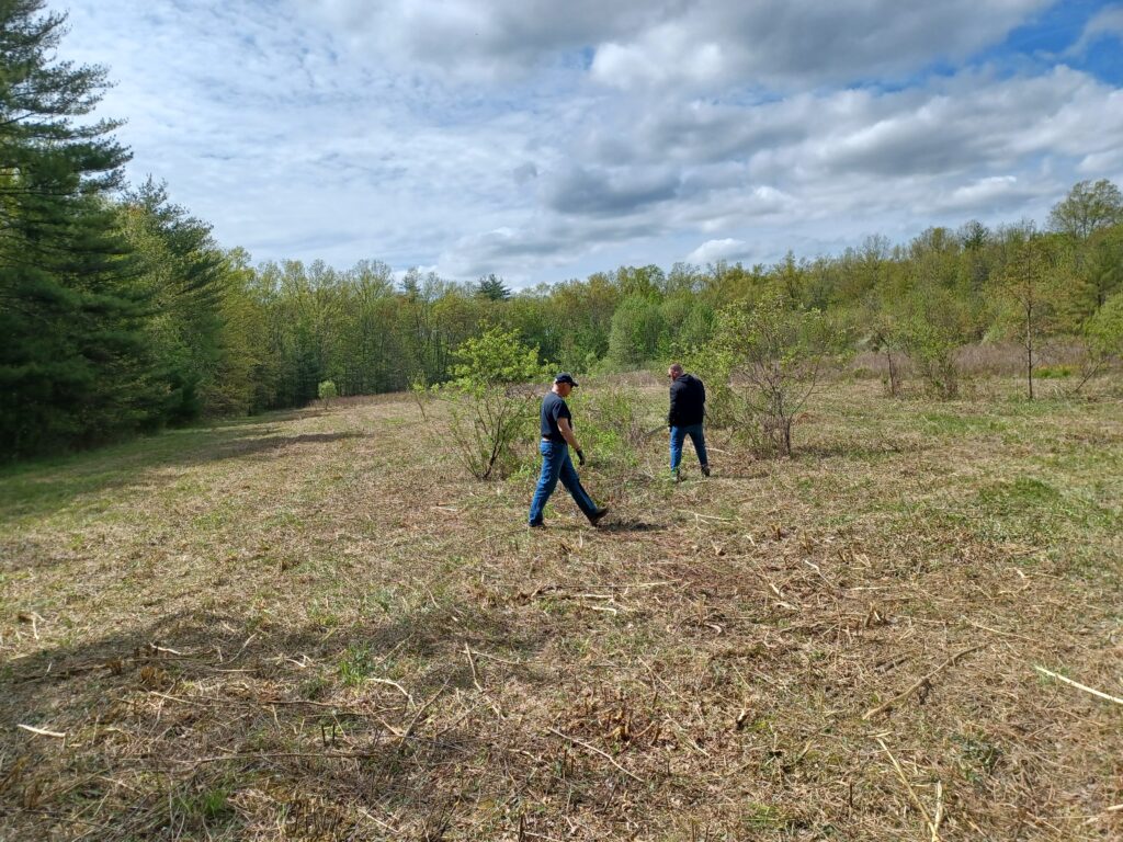 2024 Work Party Spring 2024 gallery image 6