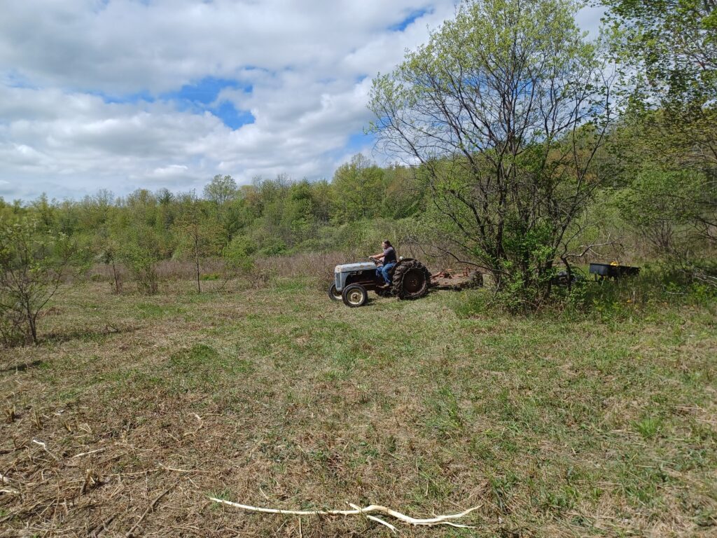 2024 Work Party Spring 2024 gallery image 7
