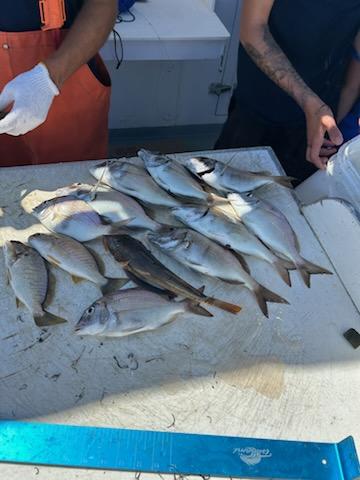 2025 Fishing Charter August 22nd gallery image 30