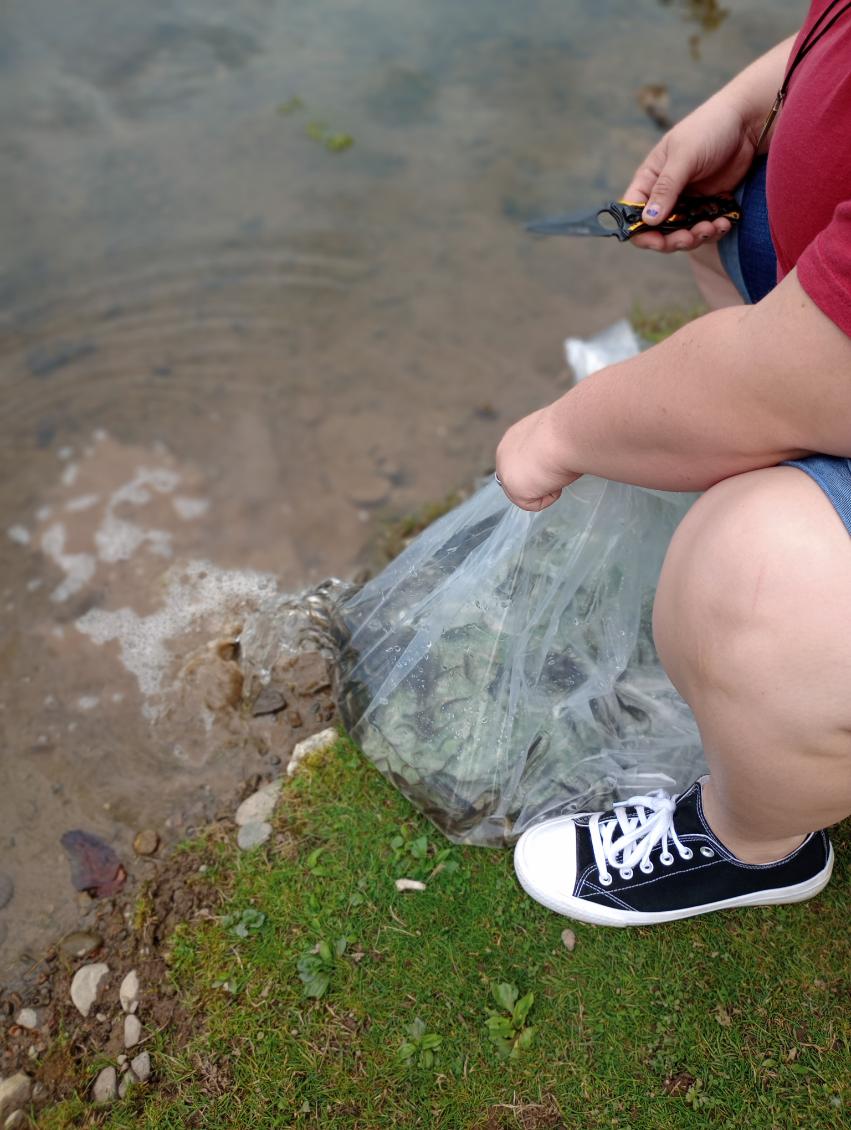 2025 Lippman Park Fish Stocking gallery image 1