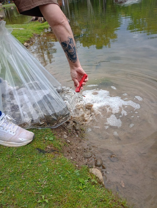 2025 Lippman Park Fish Stocking gallery image 6