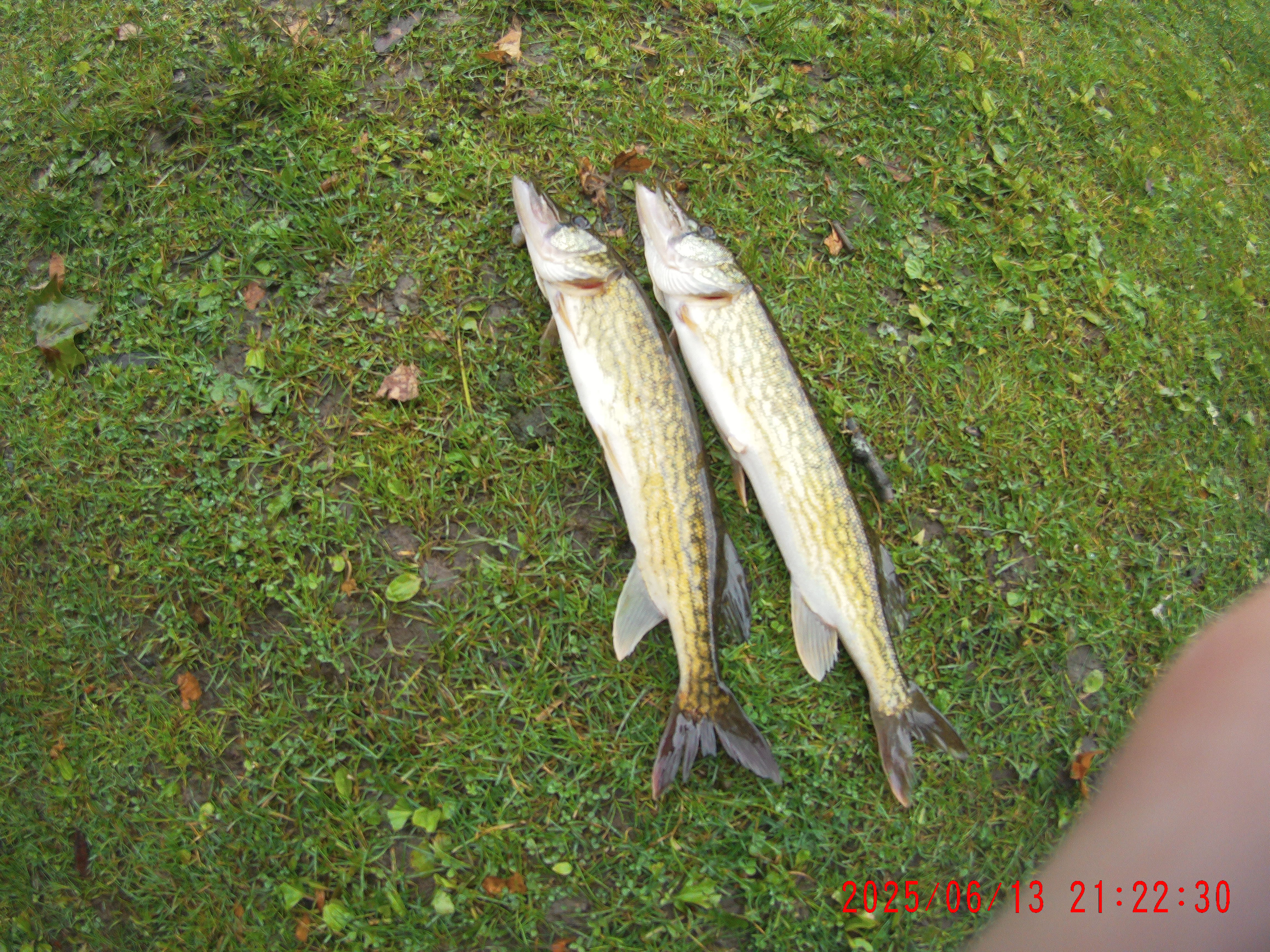 2025 Youth Outdoor Expo 2025 gallery image 18