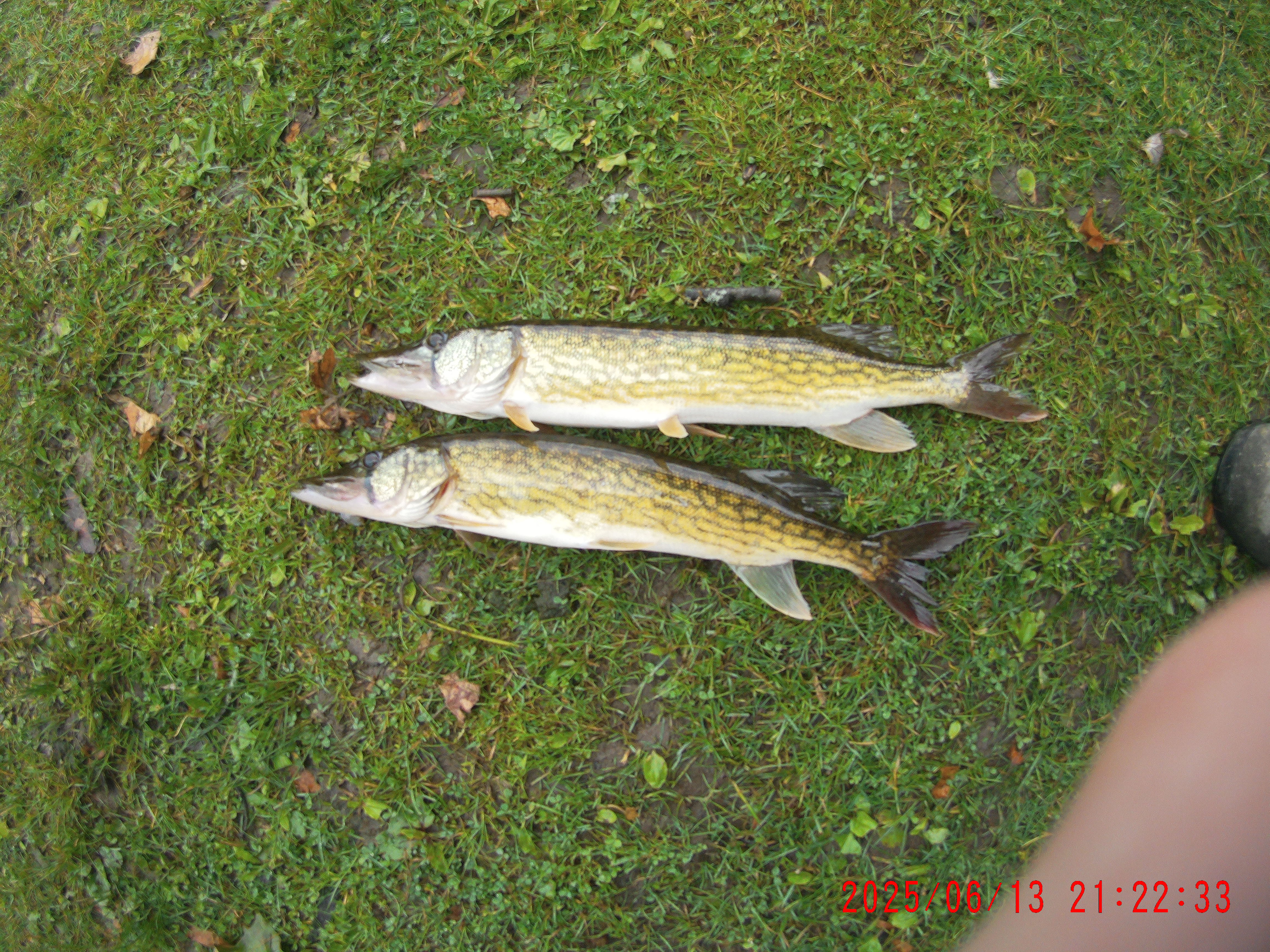 2025 Youth Outdoor Expo 2025 gallery image 19