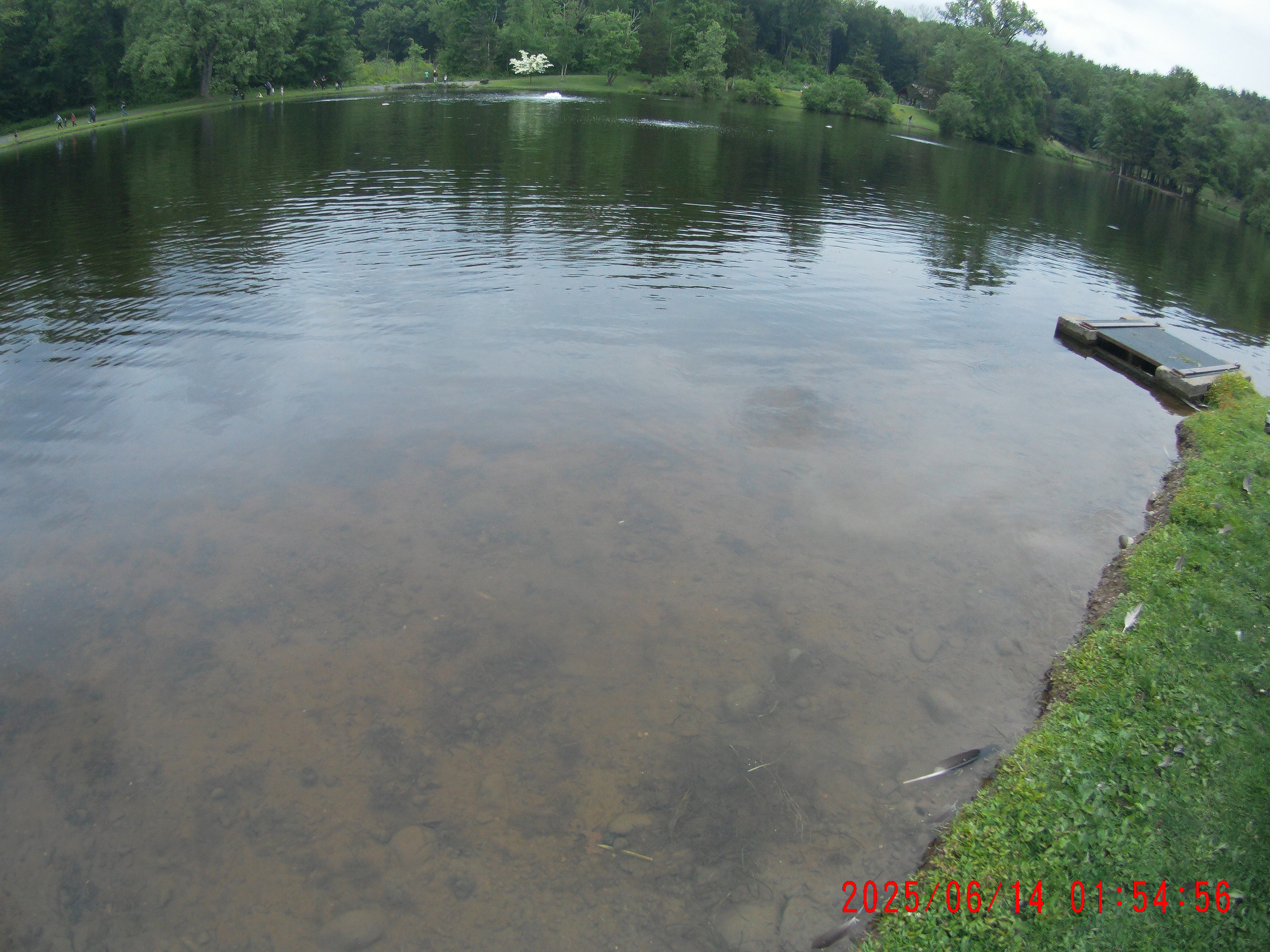 2025 Youth Outdoor Expo 2025 gallery image 143