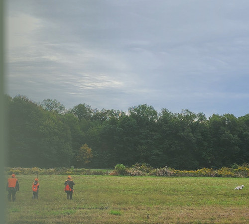 Youth outdoor activities supported by the Federation